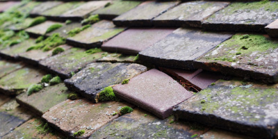 Tingewick roof repair costs
